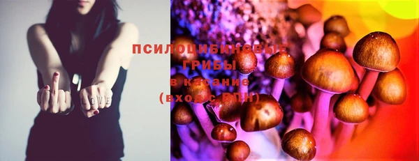 apvp Абдулино