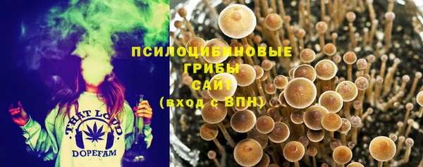 таблы Россошь