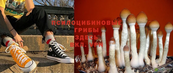 дживик Абаза