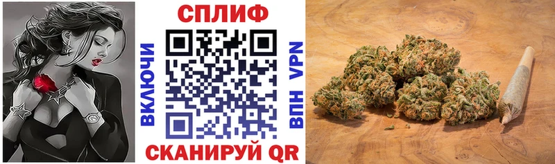 где продают   Абаза  Каннабис AK-47 